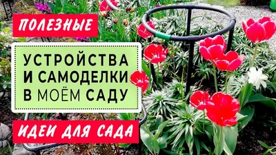 Лучшие идеи для сада и огорода своими руками.#поделки #своими #идеи #и... |  TikTok