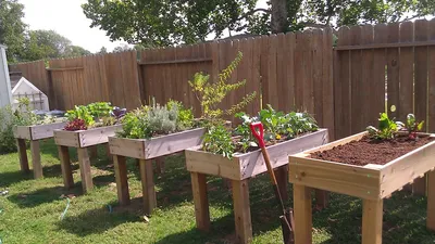 Моя дача - идеи для дачи, сада и огорода | Facebook