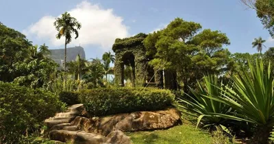 Ботанический сад | Самые красивые сады мира | Инстаграм | Фото цветов