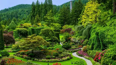 Самые красивые сады - 73 фото