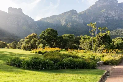 Самые красивые ботанические сады в мире | Vogue UA