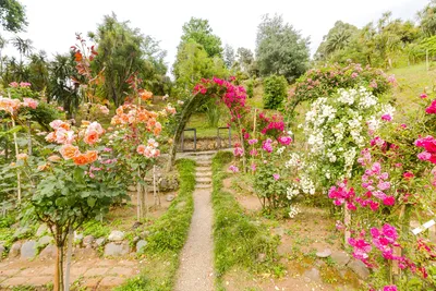 10 самых живописных садов в мире » Полетели.РУ