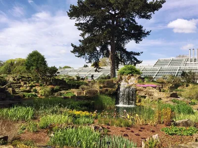 Самые красивые ботанические сады мира. Королевские сады Кью | Дорога без  конца | Дзен