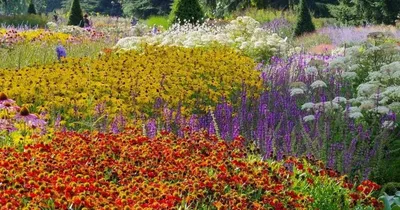 Лучшие ботанические сады мира: 15 мест, которые стоит посетить