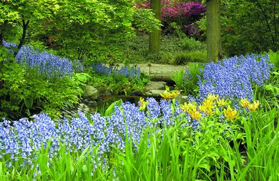 Крым, Никитский Ботанический Сад - «Никитский ботанический сад -  красивейшее и интереснейшее место! :)» | отзывы