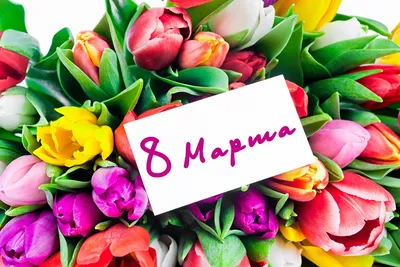 Поздравления с 8 Марта: оригинальные открытки в стихах для мамы, коллеги,  бабушки или дочери | РБК Life