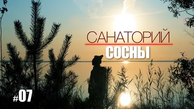 Санаторий «Сосны» - Беларусь - SPA - Санатории - Туры - MARI