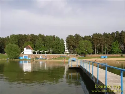 СОСНЫ санаторий Санаторий Беларусь Нарочь (озеро) - описание, отзывы,  фотогалерея и туры в Санаторий