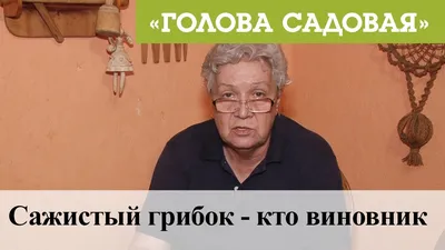 Пятна на листьях огурцов – из-за чего появляются, что делать и чем лечить |  На грядке (Огород.ru)