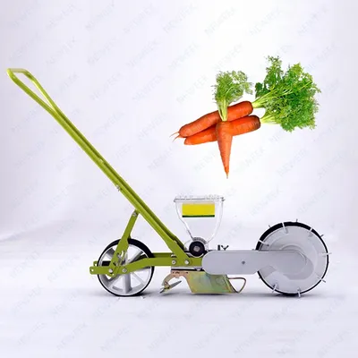 Выращивание моркови. Современная технология выращивания моркови