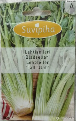 Сельдерей черешковый \"Tall Utah\" агрофирмы Suvipiha - «Suvipiha. Сельдерей  на нашей грядке» | отзывы
