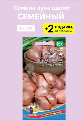 Как правильно сажать и ухаживать за семейным луком (лук-шалот) | Огородница  | Дзен