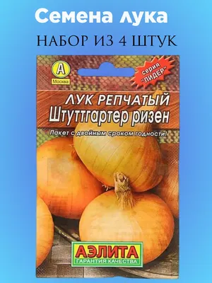 семена лука и лука. лук от посева до сбора урожая Стоковое Фото -  изображение насчитывающей зеленый, морковь: 227577602