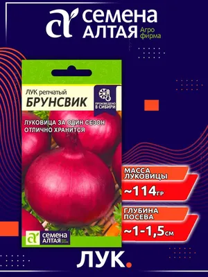 Семена лука рыцаря - Цена: €1.95