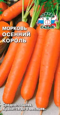 Морковь Семко Морковь Олимпиец - купить по выгодным ценам в  интернет-магазине OZON (821359549)