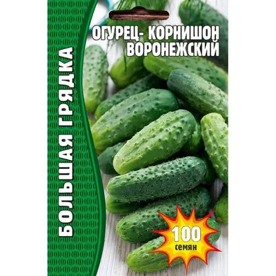 Семена огурец корнишон Воронежский, 100 сем. купить оптом или розницу.  Выгодные цены