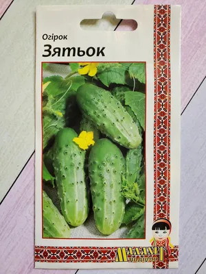 Семена огурцов Зятёк малахит подилля (ID#1735168706), цена: 3.99 ₴, купить  на Prom.ua