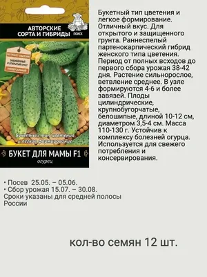 Набор семена огурцов раннеспелые самоопыляемые Агрохолдинг Поиск 53501147  купить за 172 ₽ в интернет-магазине Wildberries