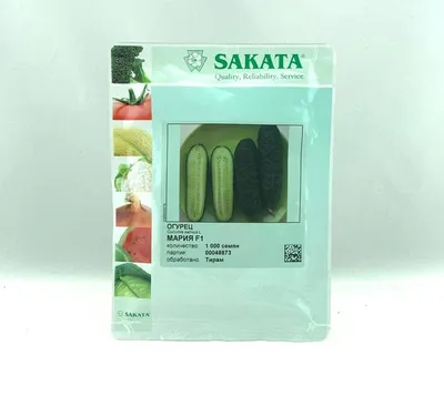 Огурец Мария F1 (Sakata) - купить семена из Японии оптом - АГРООПТ