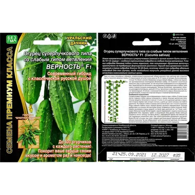 Семена огурцов Суприна Real Agro, 10 г купить по низким ценам в  интернет-магазине Uzum (405424)