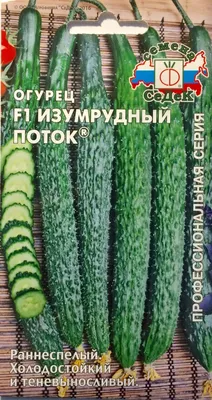 Семена огурцов Западный ветер для теплиц, самоопыляемые, пучковые купить по  цене 43.12 ₽ в интернет-магазине KazanExpress