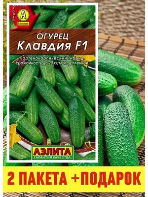 Семена огурцов Лялюк купить в Украине | Веснодар