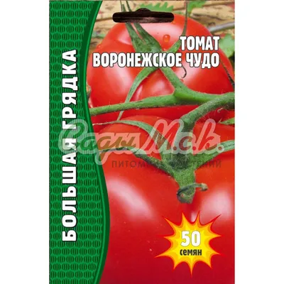 Семена Томат Златоуст (а/ф Уральский Дачник) купить за 46 р. в садовом  центре АСТ Медовое