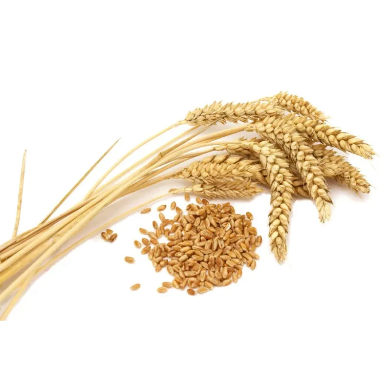 Замените пшеничные зерна