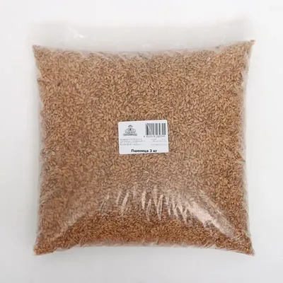Украинские семена пшеницы от Агрокорпорация «Степная» по доступным ценам -  купить лучшие семена озимой пшеницы