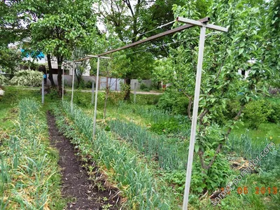 Шпалера садовая для вьющихся растений, для огурцов, гороха , винограда,  опора высокая для клематиса - купить по выгодной цене в интернет-магазине  OZON (915663526)