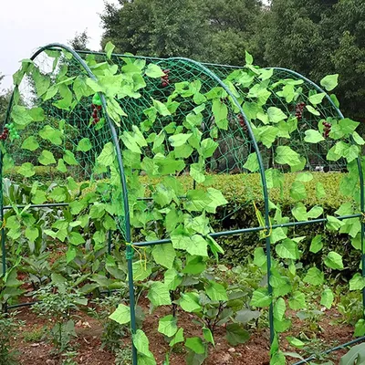 Шпалерная сетка, ячейка 150х170мм, садовая сетка, шпалера, подвязка огурцы,  подвязка помидоры, подвязка растений, сетка огород