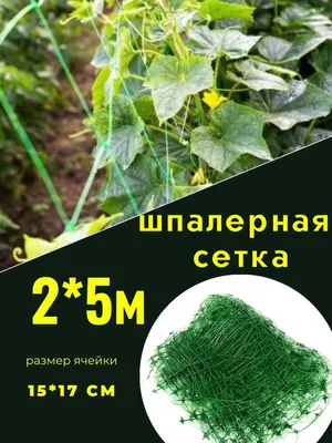 Сетка шпалерная для огурцов,садовая сетка, сетка для вьющихся растений и  гороха, опора для поддержки вьющихся растений - купить по выгодной цене в  интернет-магазине OZON (563676508)