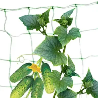 Сетка шпалерная, сетка огуречная, сетка для вьющихся растений. (id  91897269), купить в Казахстане, цена на Satu.kz