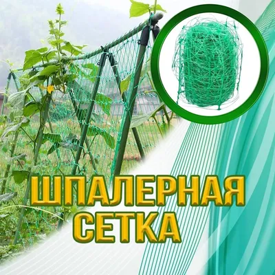 Сетка шпалерная для огурцов и вьющихся растений Ripoma 24487 500 cм -  купить в ООО \"Глобал\", цена на Мегамаркет