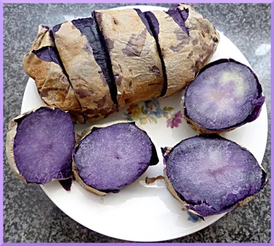 Картошка фиолетовая(Синяя,Витело́т,Негритянка ) 5кг: 200 грн. - Продукти  харчування / напої Золотоноша на Olx