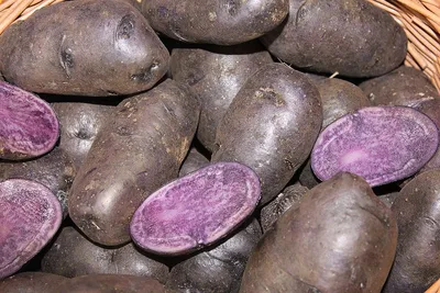 Польза и вред фиолетового картофеля | Начни с тренировки | Дзен