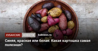 Картофель семенной сорта Голубой Дунай, Blue Danub в Минске недорого с  гарантией