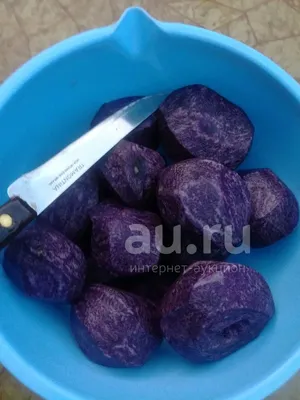 Картошка синяя!!! — купить в Красноярске. Картофель на интернет-аукционе  Au.ru