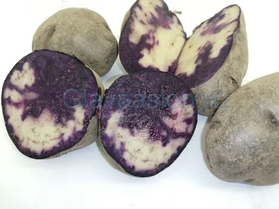 картофель фиолетовый, чёрная картошка — купить в Красноярске. Овощи на  интернет-аукционе Au.ru