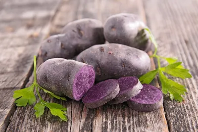Экзотика на огороде: фиолетовая картошка и белые помидоры