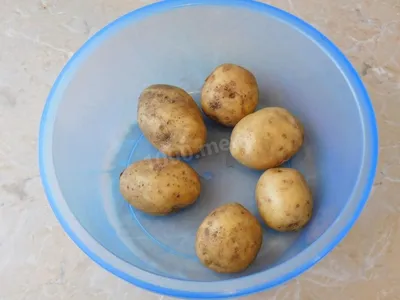Картошка Vitelotte сине-фиолетовая (ajanhuiri Vitelotte Solanum X Noir  Стоковое Изображение - изображение насчитывающей еда, корень: 42923899