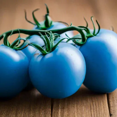 помидоры пересорт Амишей золотой срез с небольшим синим напылением.jpg -  Помидоры - tomat-pomidor.com