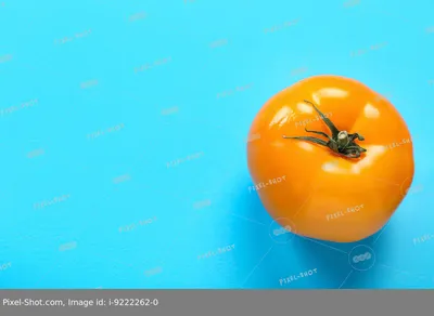 Вы выращиваете синие помидоры? Лучшие сорта томатов экзотического цвета |  Цветок в доме | Дзен