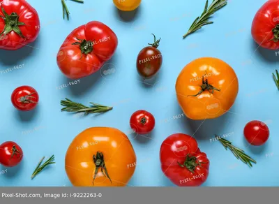Как в Китае выращивают помидоры \"для себя\". Повторил их способ и теперь  один вопрос: куда деть столько урожая | Помидоры, Огород, Себу