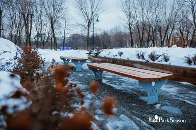 Сиреневый сад в Великом Новгороде на выходных был полон людей — GPVN.RU