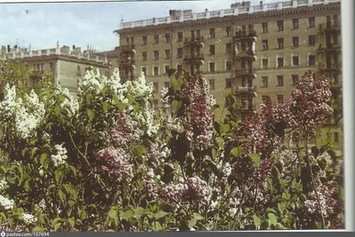 Сиреневый сад - MoscoWalk.ru - Прогулки по Москве | Прогулки