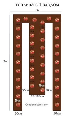 УРОЖАЙНАЯ СХЕМА ПОСАДКИ В ТЕПЛИЦЕ. САЖАЮ ТЕПЕРЬ ТОЛЬКО ТАК |  SADOVNIKOMSTANY | Дзен