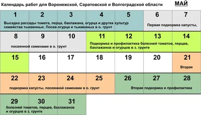 Схема посадки томатов в теплице - Страница 6 - Томаты в теплице -  tomat-pomidor.com - форум