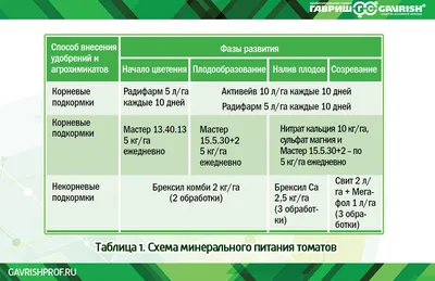 Схема посадки помидор: расстояние между кустами и рядами томатов в теплице