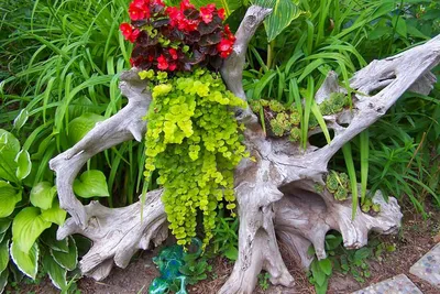 Садовые скульптуры - индивидуальность вашего сада
